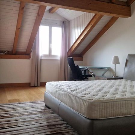 Penthouse In Cologny Switzerland Apartment เจนีวา ภายนอก รูปภาพ