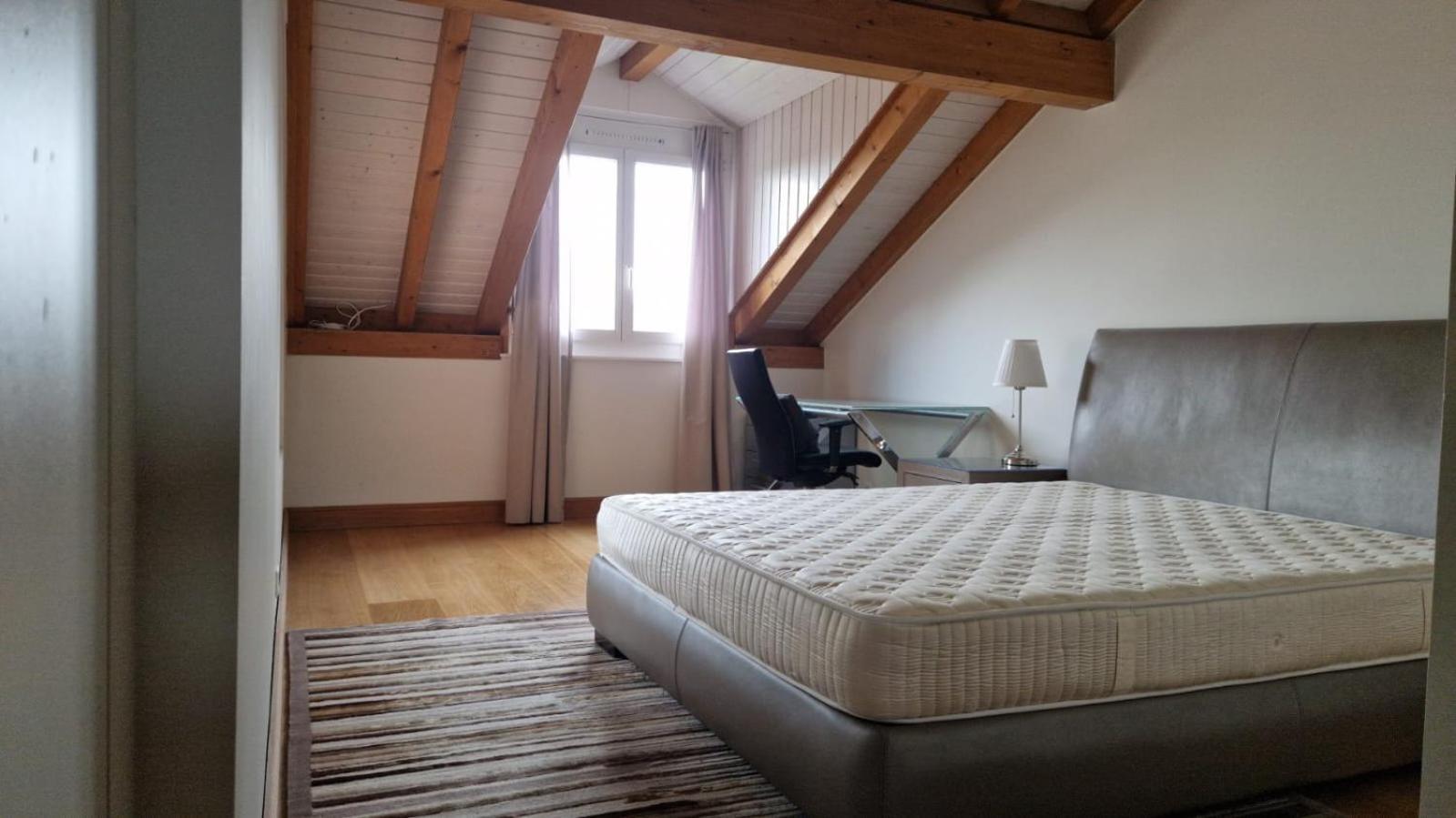 Penthouse In Cologny Switzerland Apartment เจนีวา ภายนอก รูปภาพ