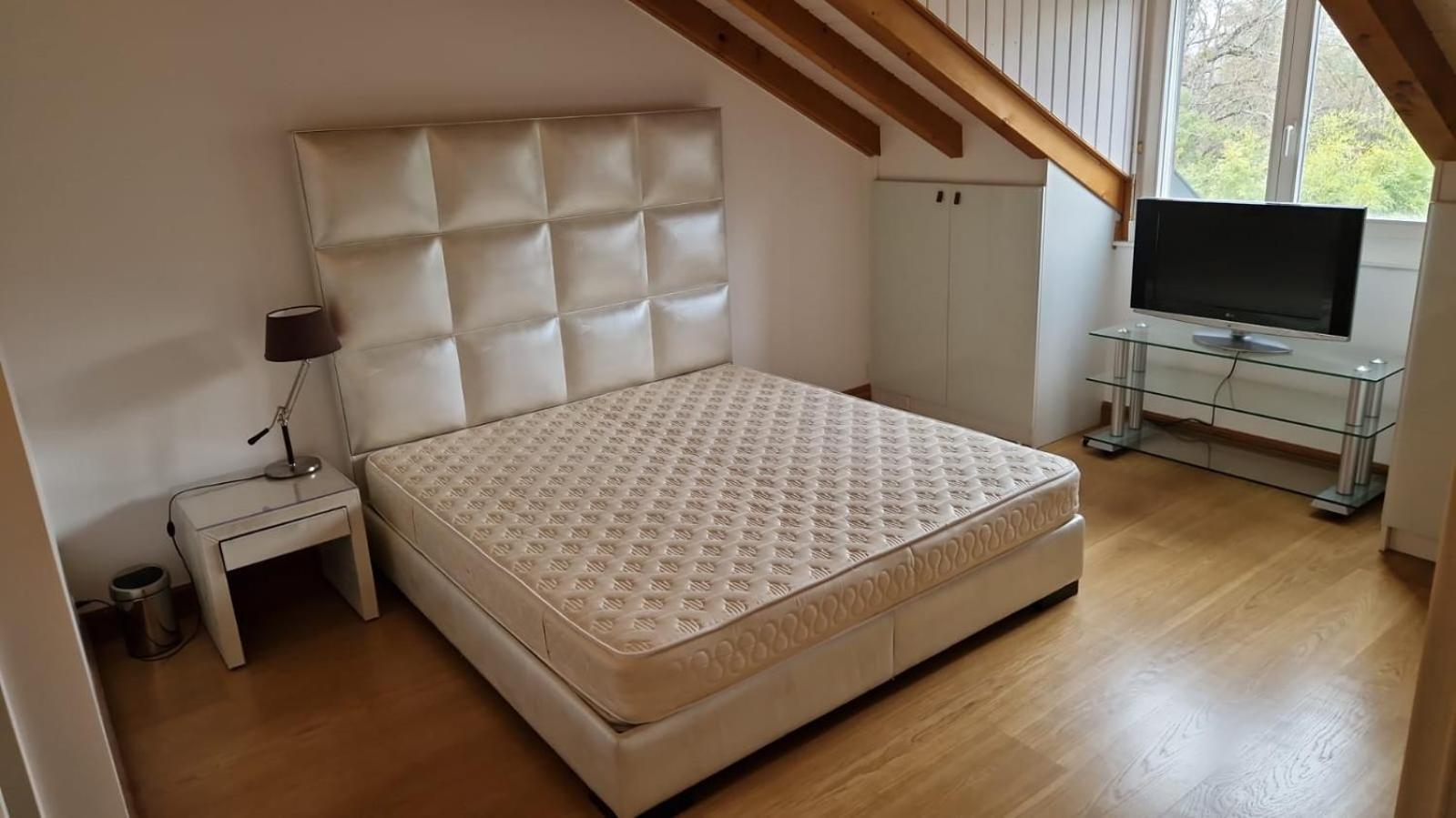 Penthouse In Cologny Switzerland Apartment เจนีวา ภายนอก รูปภาพ