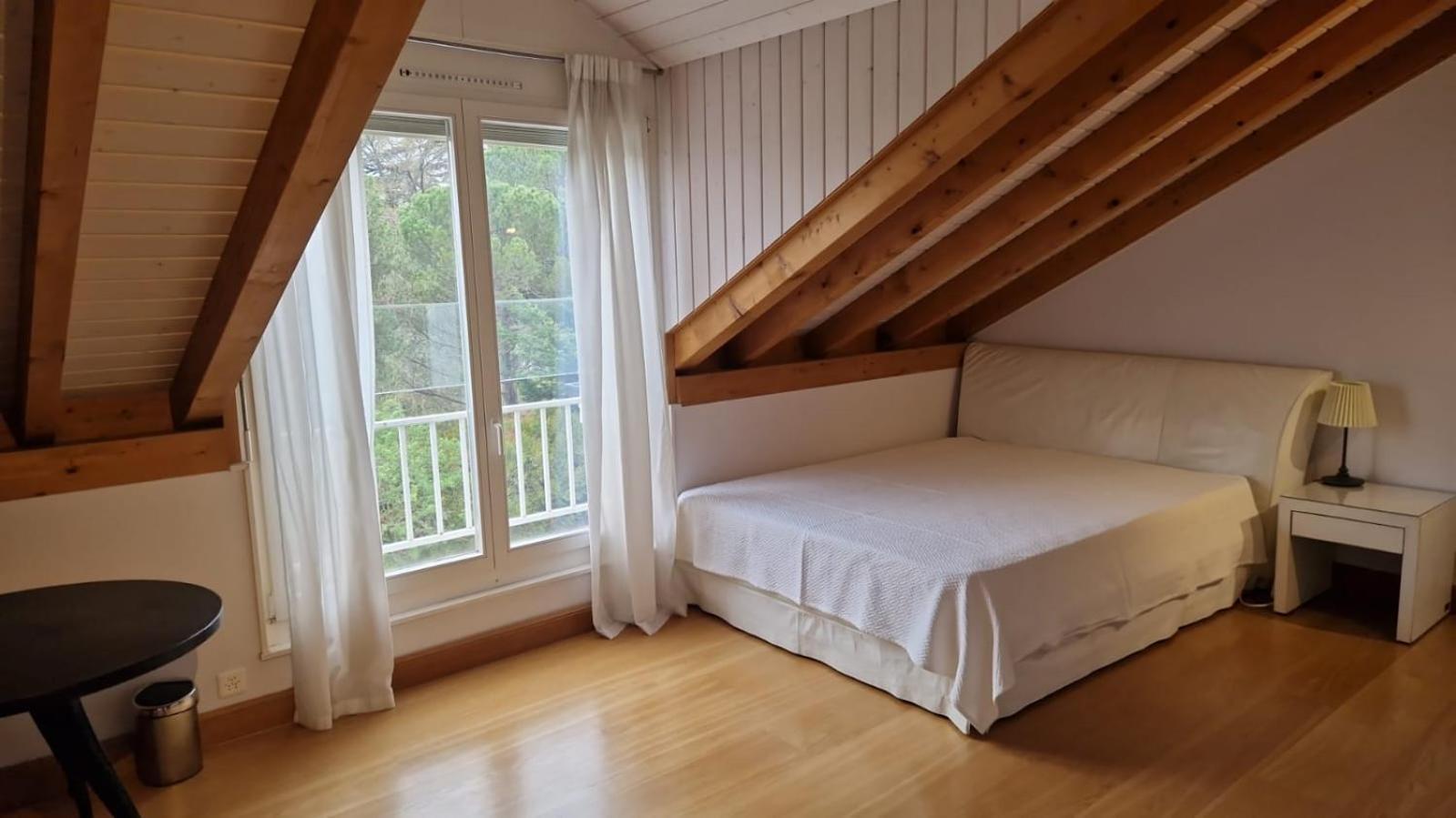 Penthouse In Cologny Switzerland Apartment เจนีวา ภายนอก รูปภาพ